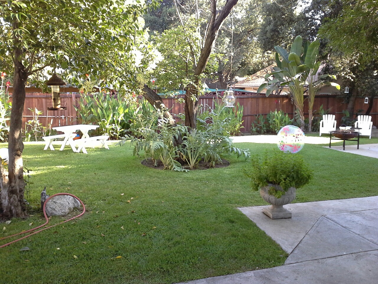 Back Yard of the Ernest Wood House